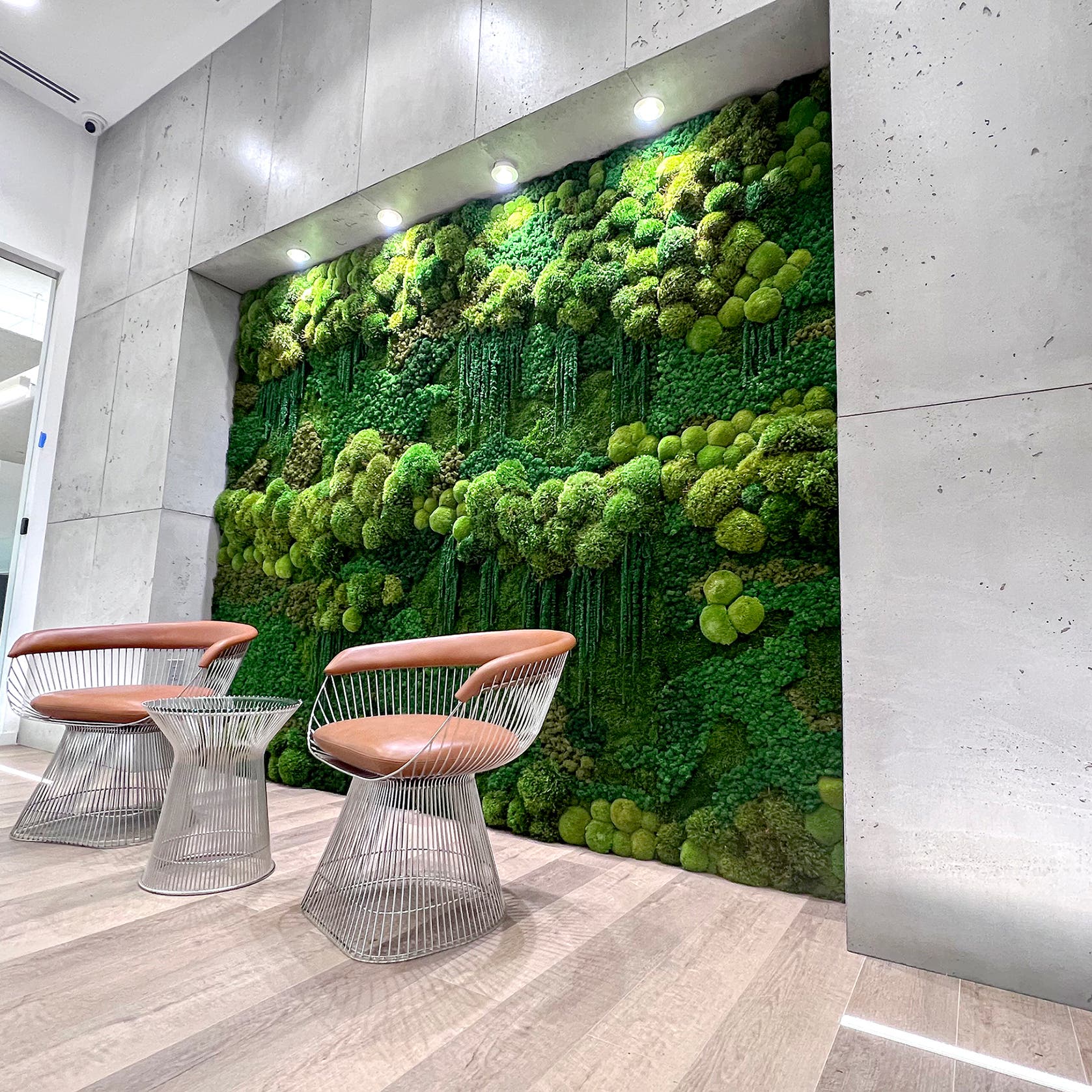 Green Oasis - Biophilic Solutions Banner